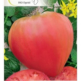 pomidor herodes przod