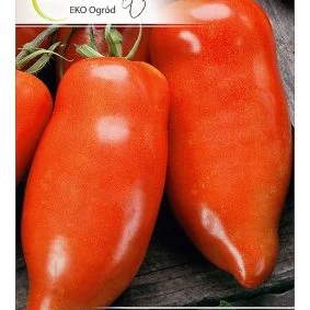 pomidor hugo przod