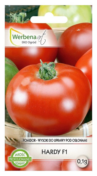 pomidor hardy przod